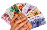 Friendship wallet cards