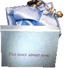 Nuts About You Keychain