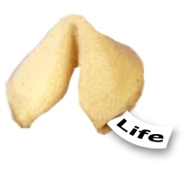 Fortune Cookie for Life