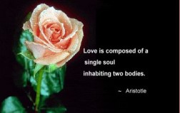 Love is composed of a single soul inhabiting two bodies...